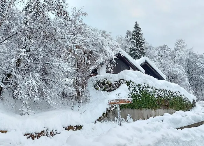 Panoramic House Carnia ,3 Badroom - Treppo Carnico - Paluzza - Zoncolan * Ligosullo